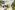 Image 12 of 3 Person Private Office in Holland Park London | 70 Sq. Ft. 