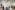Image 14 of 16 Person Private Office in London | 580 Sq. Ft.
