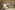 Image 4 of 4 Person Private Office | 140 Sq. Ft.