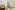 Image 5 of 6 Person Managed Office in The City of London | 275 Sq. Ft.