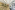 Image 6 of 14 Person Office Available plus Meeting Room | 575 sqft