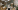Image 4 of 22 Person Managed Office with Meeting Room in London | 1,761 sq ft