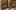Image 1 of 6 Person Private Office in Manchester | 238 sq ft