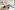 Image 4 of Permanent Coworking Desk in Kogarah 