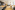 Image 5 of 3 Person Serviced Office in Kogarah 