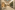 Image 14 of 15 Person External Private Office in Adelaide | 45 sqm
