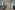 Image 2 of 32 Desks Office Space with 3 Meeting Rooms | 360 sqm.