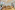 Image 15 of 7 Person Serviced Office 