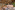 Image 11 of 20 Person Managed Office | 2,063 Sq. Ft.
