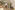 Image 4 of 17 Person Private Office in London | 485 sq ft 