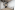 Image 4 of Private Office for up to 1 Person | 91 Sq. Ft. - Studio 3.04