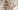 Image 1 of 36 Person Managed Office with 4 Meeting Rooms | 3,181 sq ft
