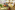 Image 19 of Shared Coworking Desks - 1Day/Week Pass