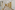 Image 9 of 51 Person Managed Office in London | 3,067 sqft