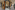 Image 13 of 6 Person Internal Private Office in Melbourne