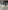 Image 4 of Leases in Frenchs Forest