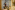 Image 1 of Private Office Space for up to 11 People | 400 Sq. Ft.