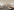 Image 3 of 16 Person Managed Office with 2 Meeting Rooms | 1,757 Sq. Ft.