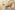 Image 2 of 10 Person Private Office | 524 Sq. Ft.