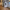 Image 3 of Small Private Office West Melbourne — All Bills Included