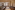 Image 14 of 20 Person Fully Fitted Managed Office | 1,625 Sq. Ft.