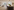 Image 1 of Managed Office for up to 42 People | 2,019 Sq. Ft.