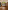 Image 1 of 6 Person Private Office | 225 Sq. Ft.