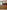 Image 5 of 6 Person Private Office | 225 Sq. Ft.