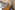 Image 14 of 14 Person Office Available | 661 Sq. Ft.