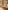 Image 15 of Private Office for up to 64 People | 1,900 Sq. Ft. (with Meeting Room)