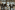Image 18 of 11 Person Private Office | 412 Sq. Ft.
