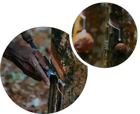 Nossa história começa em 1996