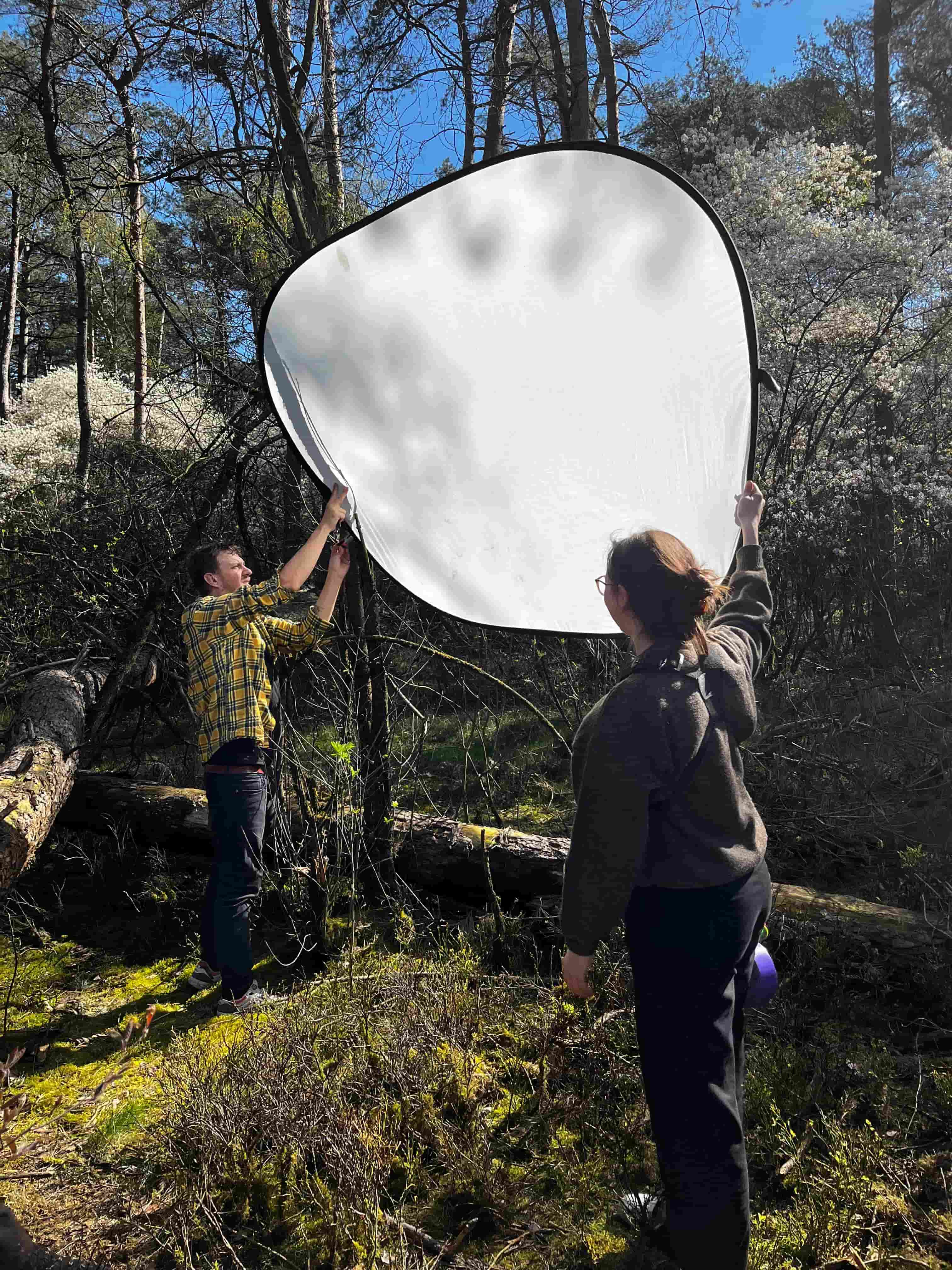 IMG_4390_uxfxsm_jy3bid_nrxu9z