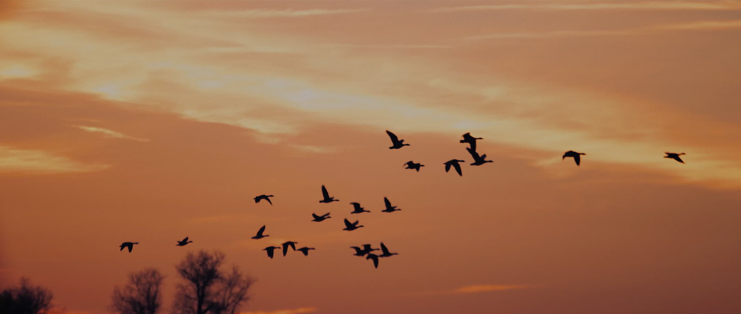 Screenshot_2021-10-07_at_11.43.18_ut12nb