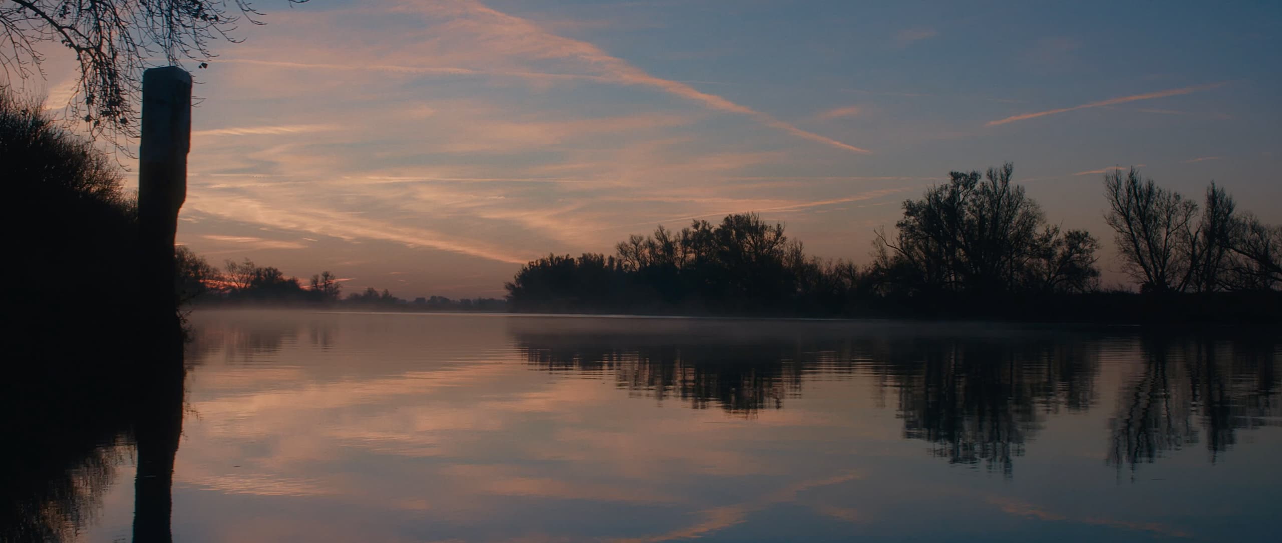 Screenshot_2021-10-07_at_11.43.49_saloyy