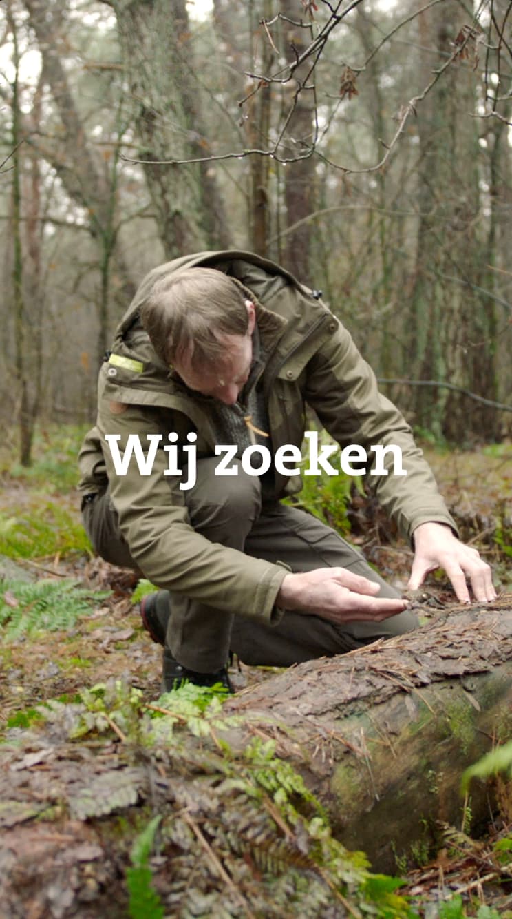 Utrechts_Landschap_employer_branding_videocontent_social_11.42.10_qkumjf