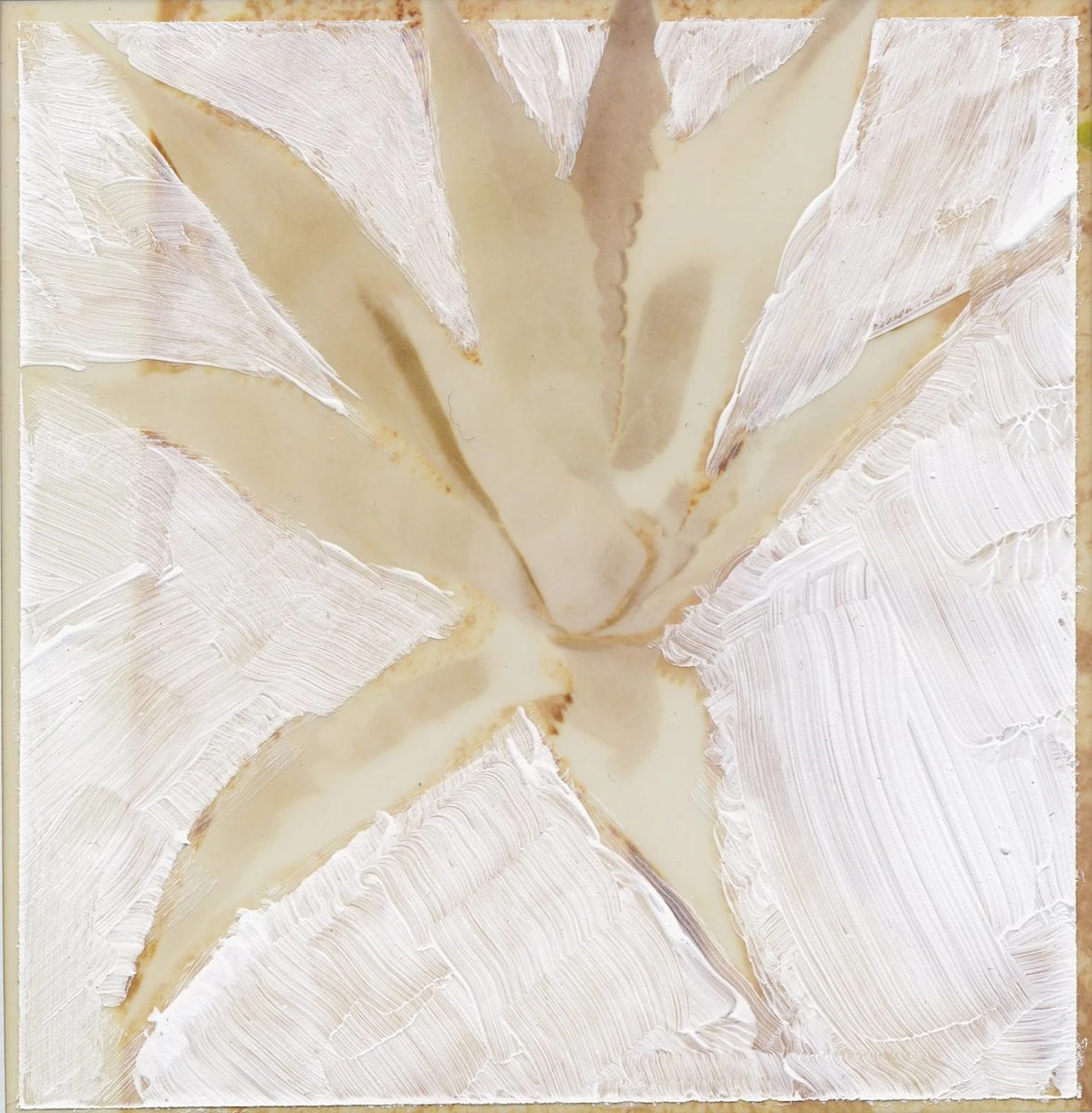 Shapes Record artwork