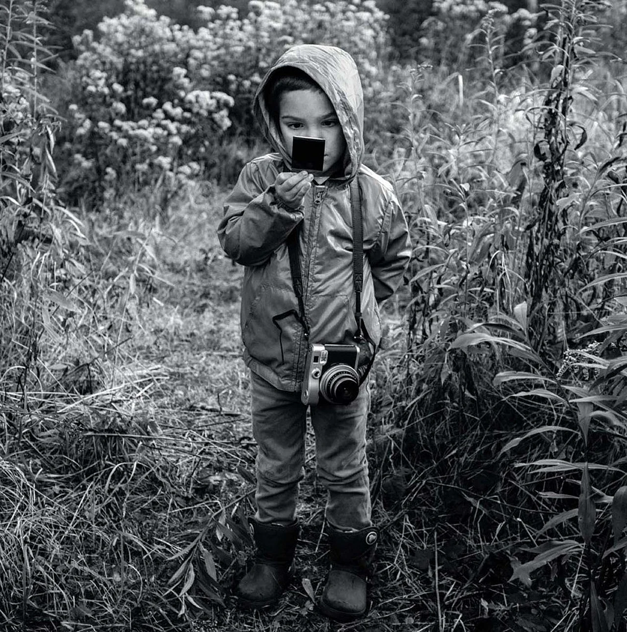  Se (in) de bos Record artwork