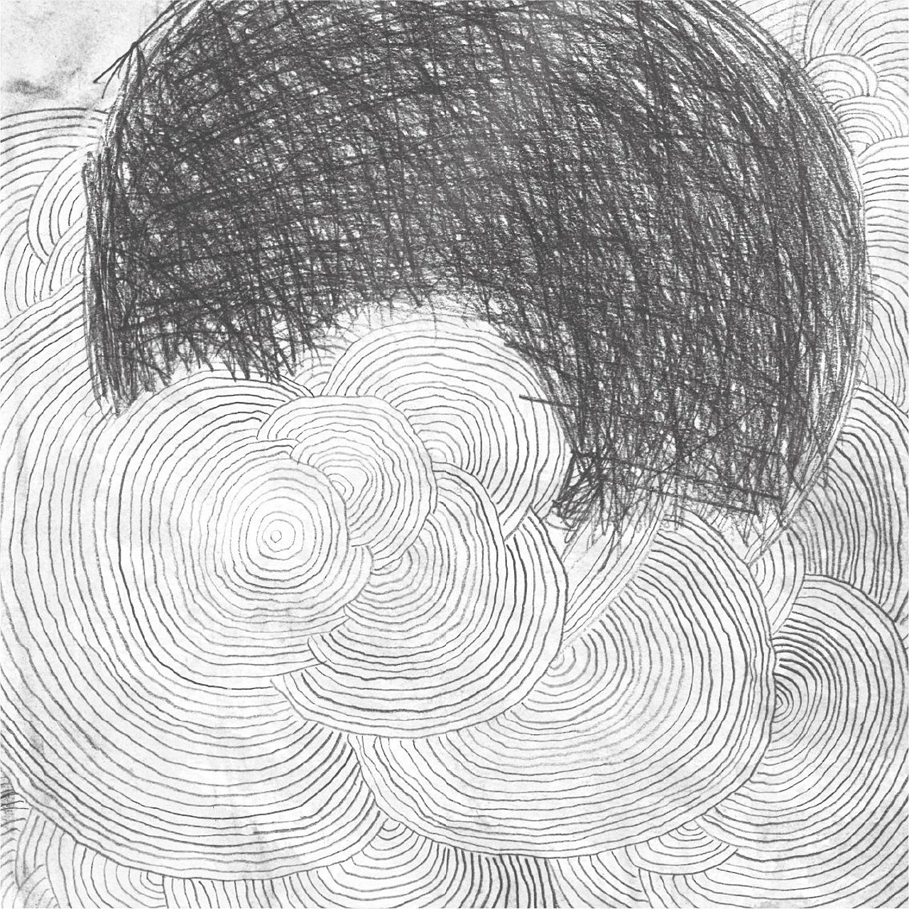 Twice left handed \\ shavings Record artwork