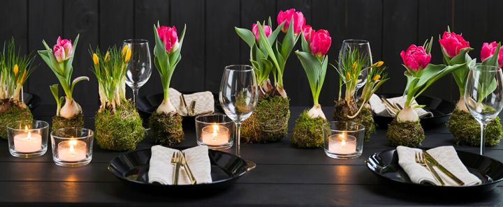 bord pyntet med moseviklede tulipaner og krokus