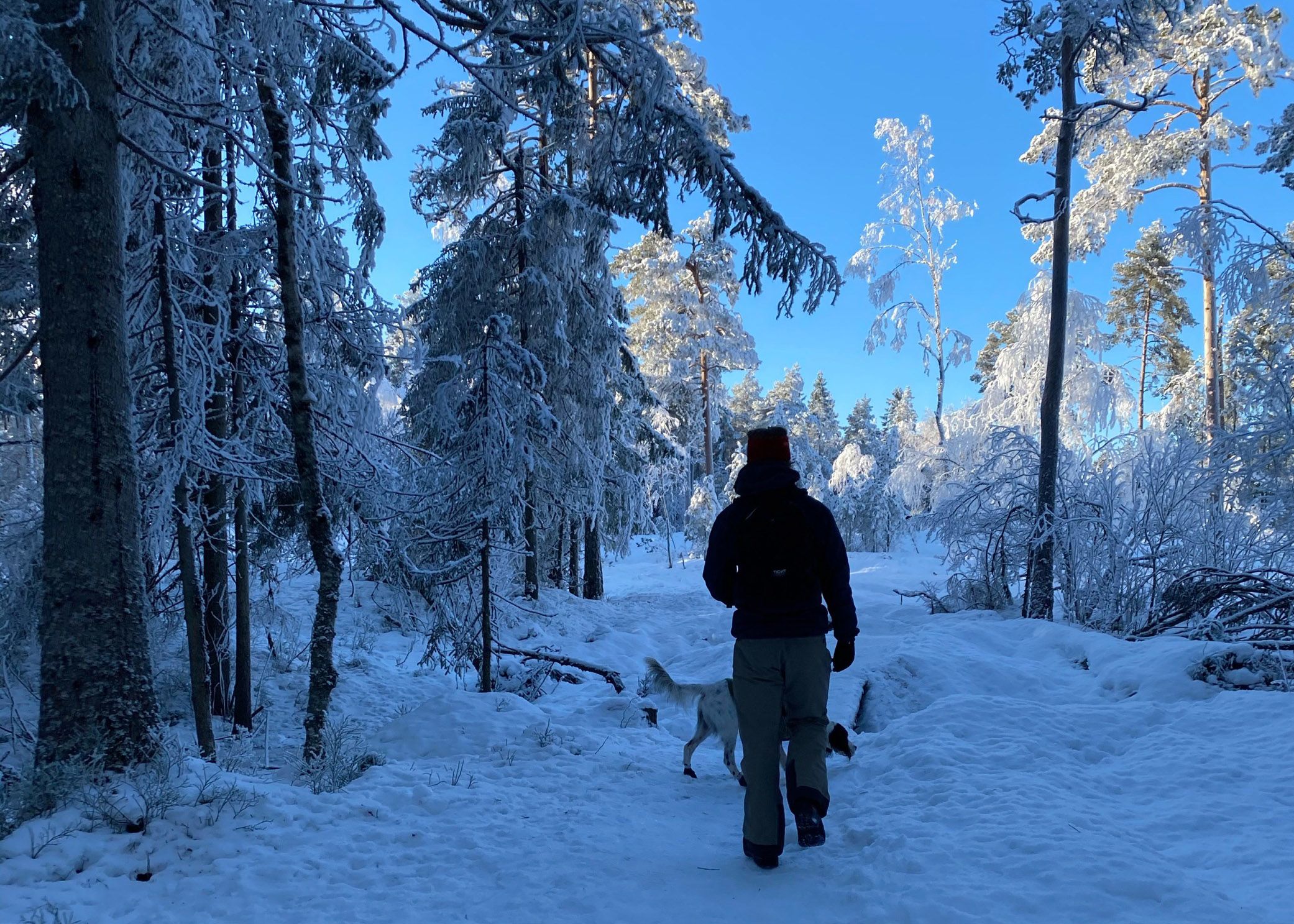 Vg2: Vinterfriluftsliv