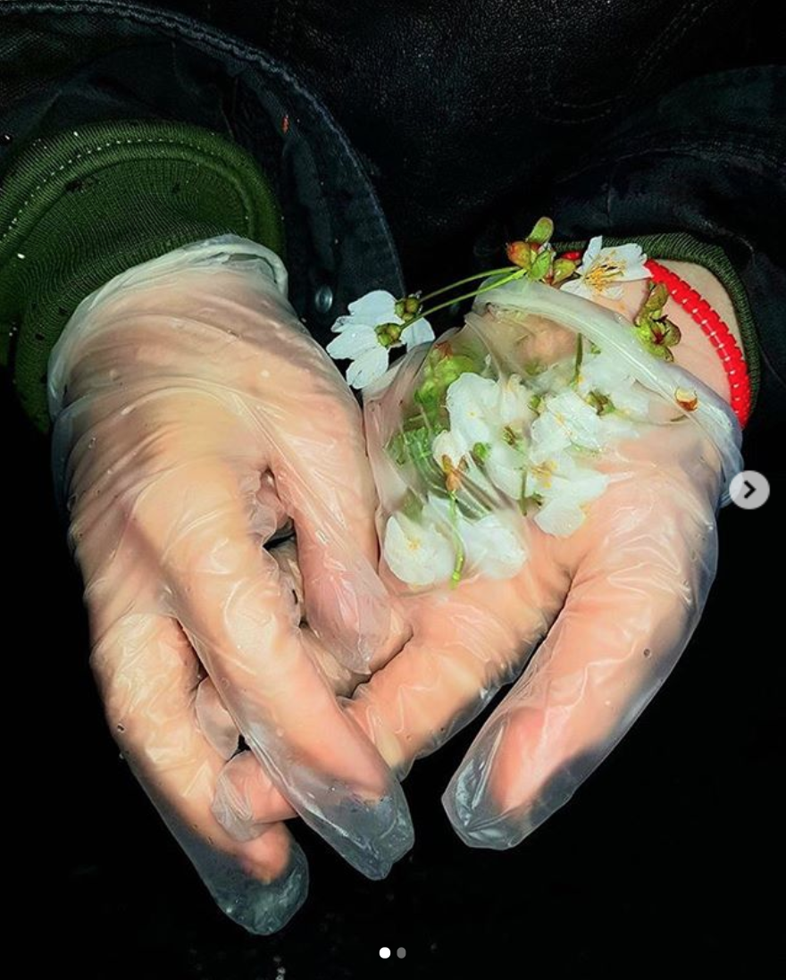 Hender med plasthandsker og blomster