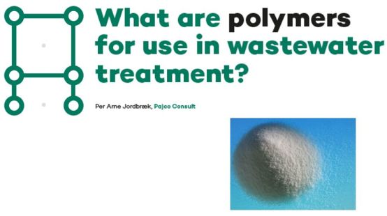 Title and picture of powder polymer