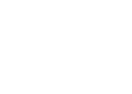 alt pluss logo