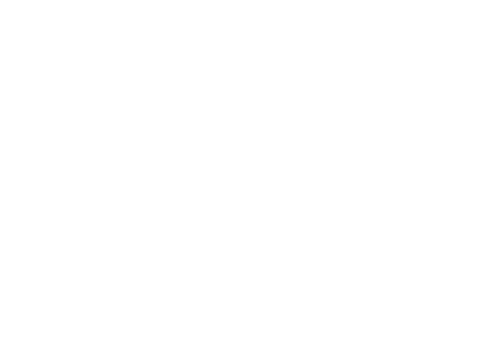 Alt pluss logo