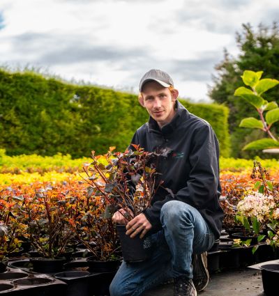 Bruker VekTek så mye vi kan