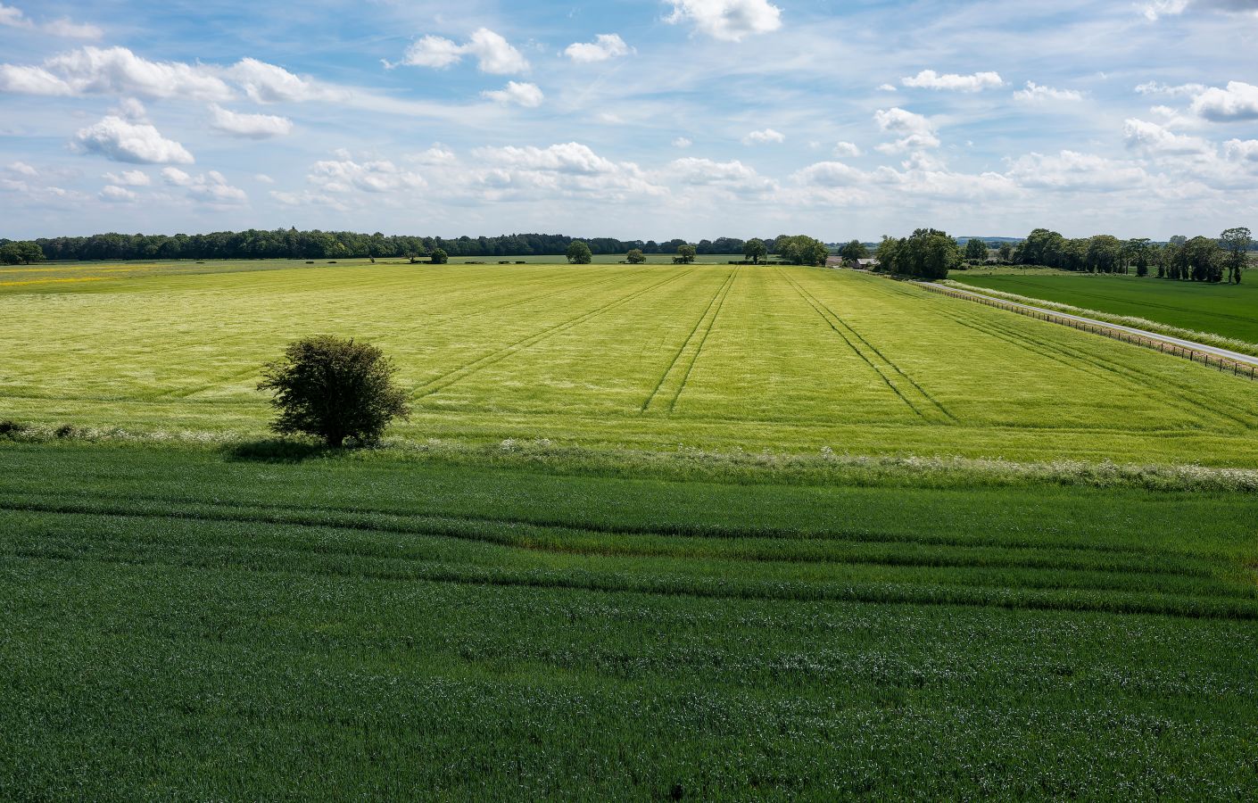 Bilde av en norsk åker