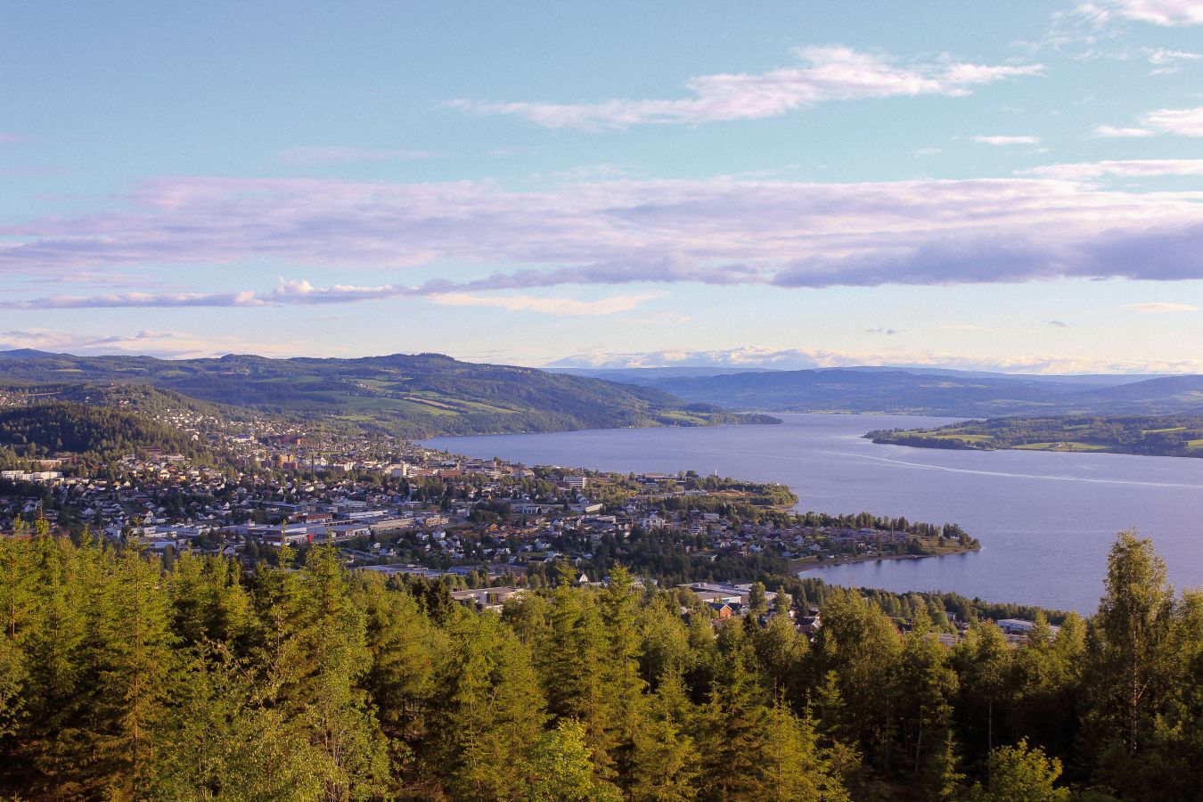 Flyfoto av Gjøvik med skog og Mjøsa Innlandet