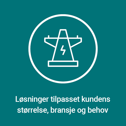 løsninger tilpasset kundens størreelse og behov