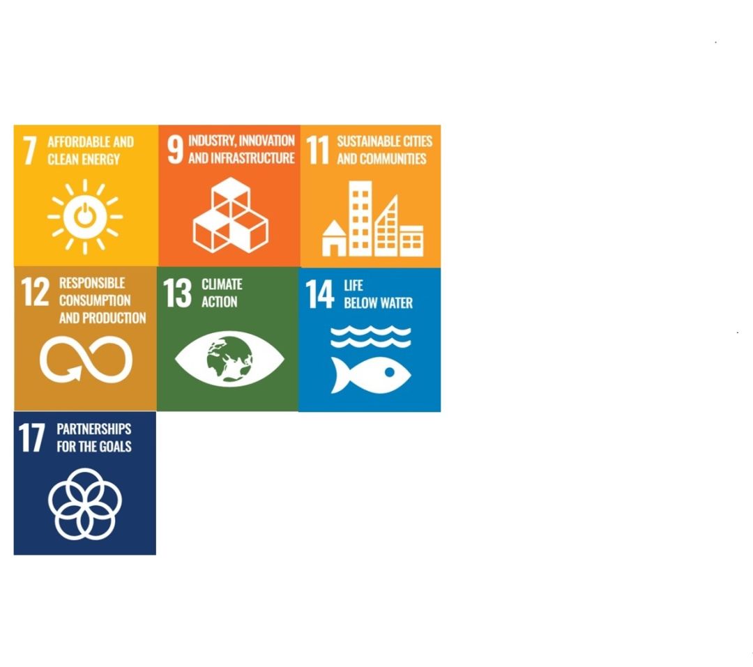 The United Nations Sustainable Development Goals
